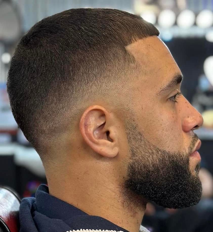 Fresh lineup